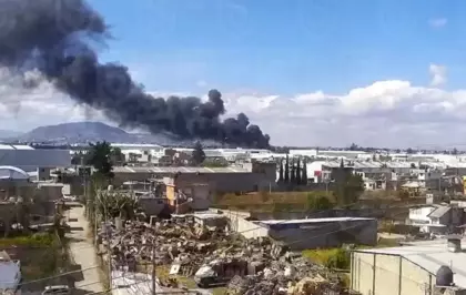 Meksika'da küçük uçağın düşmesi sonucu en az 7 kişi öldü