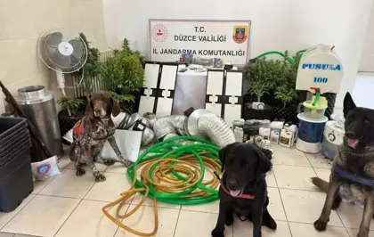 Düzce'de evinin çatı arasına kurduğu düzenekle uyuşturucu bitki yetiştiren şüpheli yakalandı