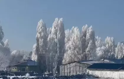 Türkiye'de en soğuk yeri! İlçe buzdan şehre döndü