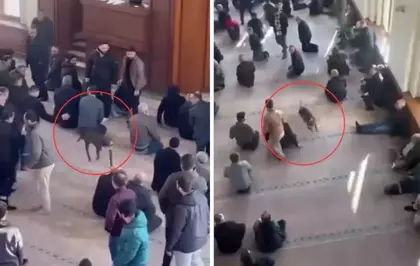 Pitbull bir anda içeriye girdi! Cami cemaati nereye uğradığını şaşırdı