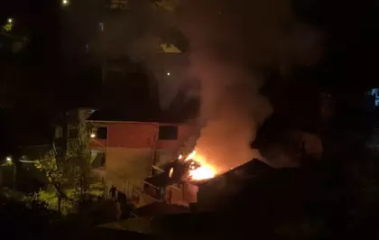 Yanan evden mahsur kalan papağanı itfaiye kurtardı