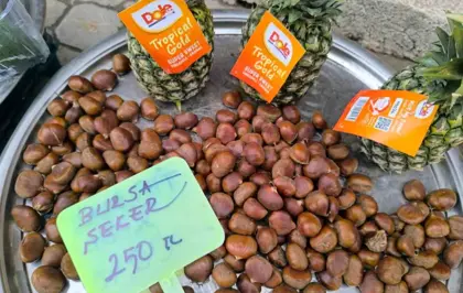 Kestane fiyatıyla yüzleri güldürdü