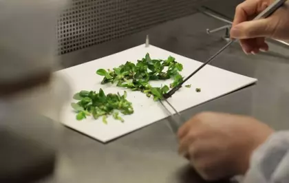 SATSO heyeti doku kültürü laboratuvarlarını basın mensuplarına tanıttı