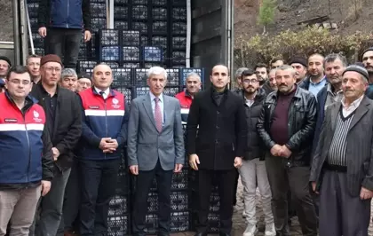 Çorum'da çiftçilere çilek fidesi ile ceviz fidanı dağıtıldı