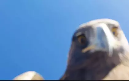 Kartalın Kapıp Dağın Zirvesine Bıraktığı Dron 6 Saatlik Tırmanışla Geri Alındı