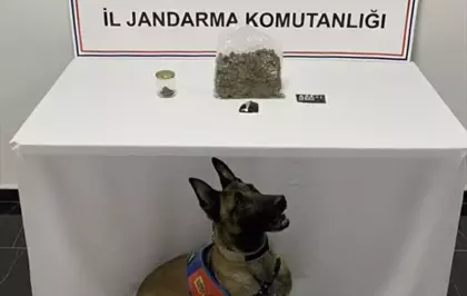 Şanlıurfa'da uyuşturucu operasyonunda 1 şüpheli yakalandı