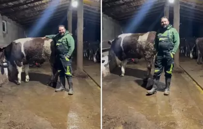 Hayvanıyla video çekip asgari ücretle ilgili yaptığı kıyasa tepki var