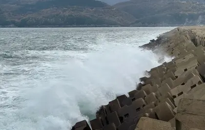 Bartın'da şiddetli rüzgar etkili oldu