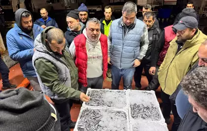 Kocaeli'de balık mezatlarında en yoğun rekabet hamside yaşandı