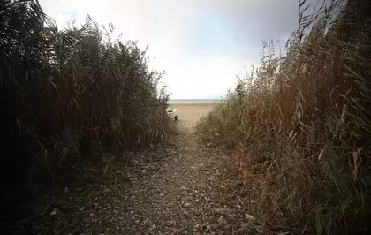 SAPANCA GÖLÜ ALARM VERİYOR - Sapanca Gölü'nde bütün hesaplar ''sürdürülebilir koruma'' üzerine