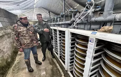 Van'daki tesislerde alabalık sağımına başlandı