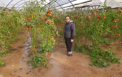 Antalya'da Hortum ve Sağanak Yağmur Seraları ve Bahçeleri Vurdu