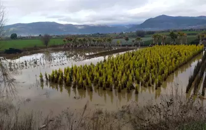 Sağanak yağış Ödemiş'te zarara neden oldu