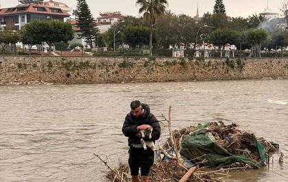 Alanya'da çayda mahsur kalan kediyi vatandaş kurtardı