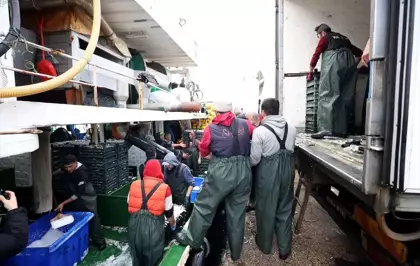 Hamsinin izini süren Karadenizli balıkçılar rotalarını İğneada'ya çevirdi