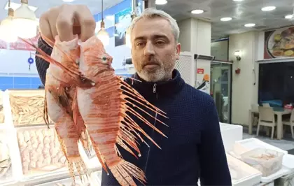 Tezgahta satışı yasak olan aslan balığının özel müşterisi var