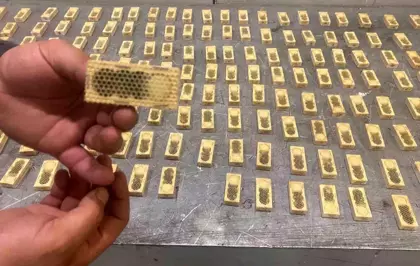 Ticaret Bakanlığı, 2025 yılında da kaçak canlı hayvan ticaretine geçit vermedi