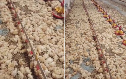 Yeni işe soyunan genç, sabah uyanınca hayatının şokunu yaşadı