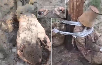 Putin'in komutanları neler yapmış neler! Rus ordusunda skandal görüntüler