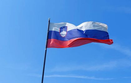 Slovenya genel seçim için sandık başında
