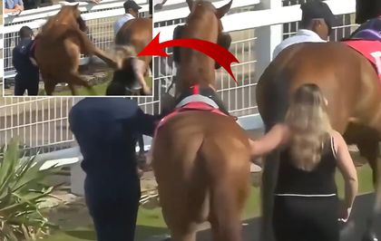 Yarış atı yanına yaklaşan seyise çifte attı! Genç kadın metrelerce savruldu