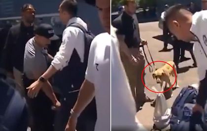 Dünya Kupası öncesi tarihi skandal! Milli Takımı narkotik köpekleriyle aradılar