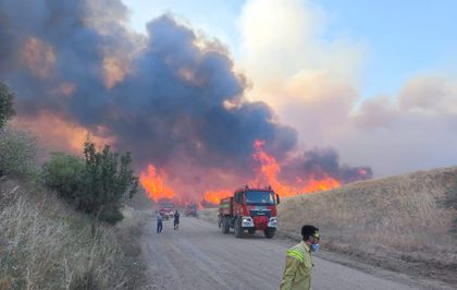 Edirne'de ormanlara giriş yasağı