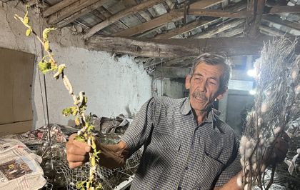 İpek böcekçiliğinin 3'üncü kuşak temsilcisi