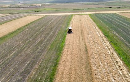 Sarıkamış'ta Arpa Hasadı Başladı: Rekolte Yüzde 60 Arttı