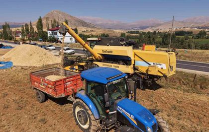 Tufanbeyli'de Nohut Hasadı Başladı: Rekolte ve Kalite Yüksek