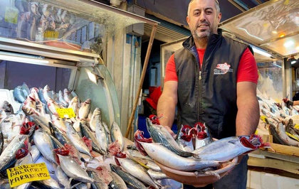 İzmir'de palamut bolluğu tezgahlarda tanesi 100 liradan satılıyor