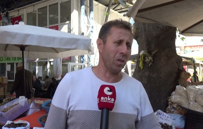 Sinop Erfelek'te kuzu kestanesi 250-650 liradan satılıyor, satışlar düştü