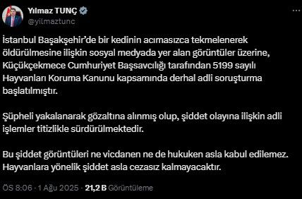 Sokak kedisini dakikalarca eziyet ederek öldürdü