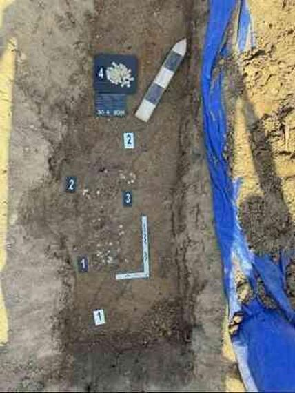 Çek Cumhuriyeti'nde bir kadın, yürüyüş yaptığı sırada Orta Çağ'dan kalma gömülü hazine buldu