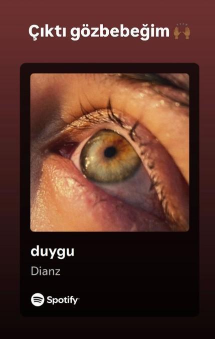 عشق ممنوعه در Survivor زندگی مشترک او را به پایان رسانده است! ایفکان دیانزنسای که پشیمان شده، به همسر سابقش آهنگ ساخت