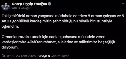 Eskişehir'de yangında alevlerin arasında kalan 10 orman işçisi ve AKUT çalışanı şehit oldu