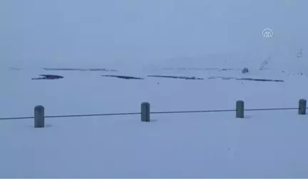 Baraj Gölünün Yüzeyi Buz Tuttu