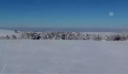 Yaban Hayvanları Için Yem Bırakıldı