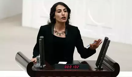 HDP'li Öztürk'e İkinci Kez Müebbet İstemi