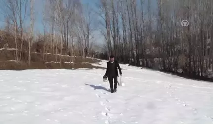 Donan Gölde, Balıklar Için Hava Delikleri Açtılar