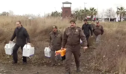 Izmit Körfezi'ndeki Akaryakıt Sızıntısı