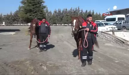 Elazığ'da 40 Kadın Seyis Olmak Için Kursa Başladı