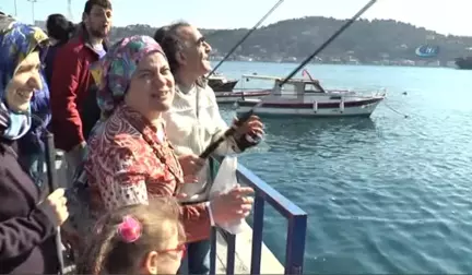 Kadınlar, Engelleri Aşmak İçin Olta Attı