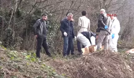 Zonguldak - Zılbıt Toplamaya Giden Kadın, Insan Kemikleri Buldu