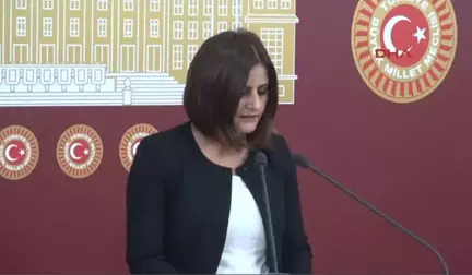 Hdp'li Taşdemir Avrupa'dan Düşman Ithal Etmeye Başladılar