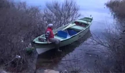 Leylek ve Balıkçının La Fontaine Masallarını Aratmayan Buluşması