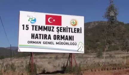 15 Temmuz Şehitleri Için 5 Bin Fidan Diktiler