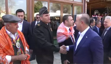 Çavuşoğlu: 