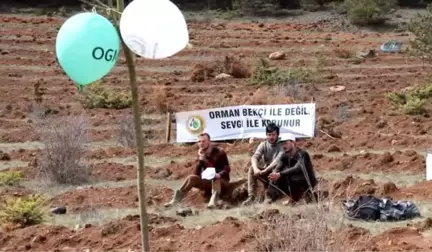 Şehit Ömer Halisdemir Adına Hatıra Ormanı Oluşturuldu