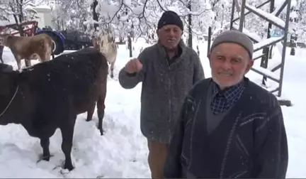 Kahramanmaraş'ta 200 Yıldır Süren Gelenek